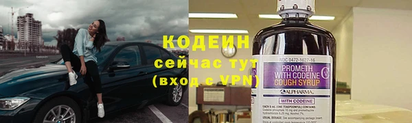 мдпв Дмитров
