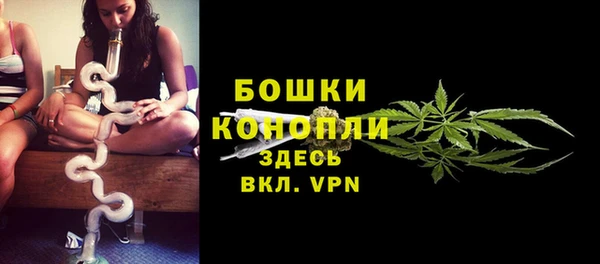 гашик Гусиноозёрск