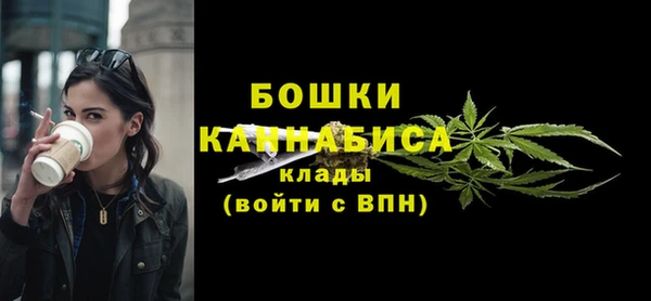 мдпв Дмитров