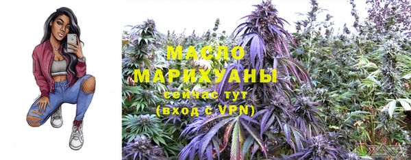 мдпв Дмитров