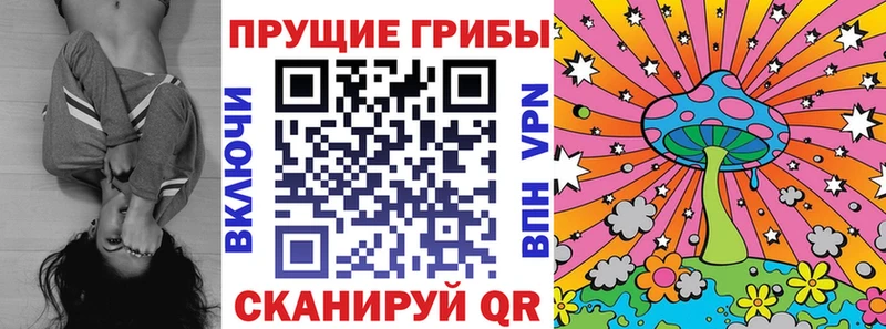 Купить закладки  Торопец  Псилоцибиновые грибы Magic Shrooms 