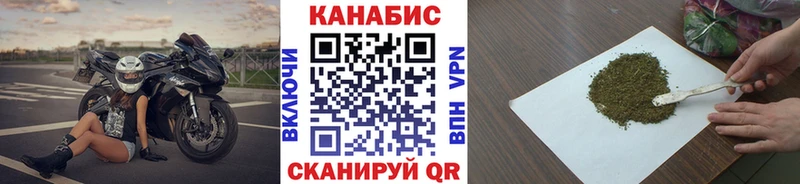 Бошки марихуана ГИДРОПОН  Купить закладки  Торопец 